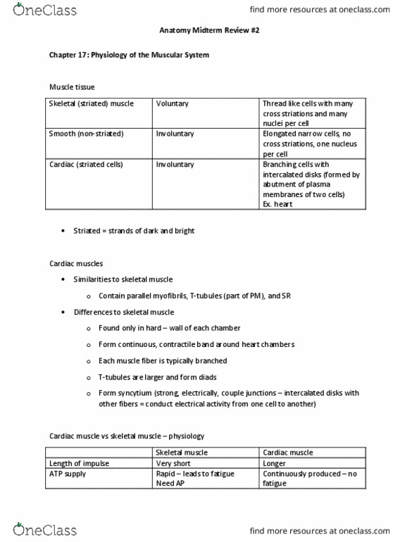 HLSC 1200U Lecture Notes - Lecture 17: Intercalated Disc, Endoplasmic Reticulum, Cardiac Muscle thumbnail