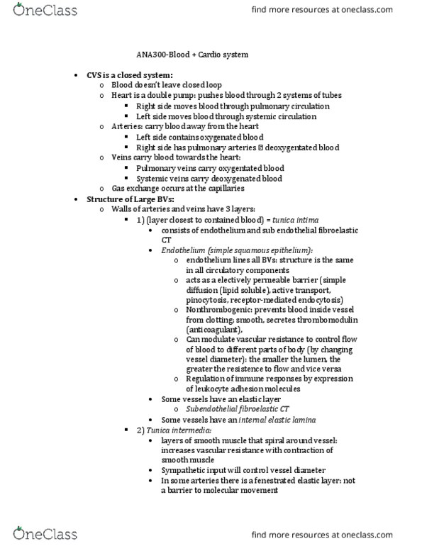 ANA300Y1 Lecture Notes - Lecture 7: Tunica Intima, Tunica Externa, Vascular Smooth Muscle thumbnail