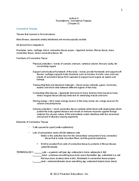 BIOB33H3 Lecture Notes - Lecture 4: Elastic Cartilage, Elastic Fiber, Subcutaneous Tissue thumbnail