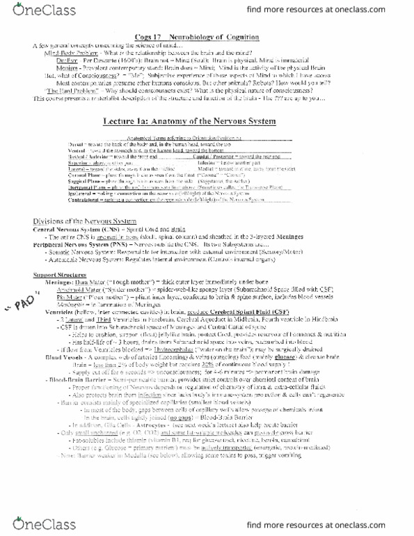 COGS 17 Lecture Notes - Lecture 1: Central Nervous System, Peripheral Nervous System, Diencephalon thumbnail