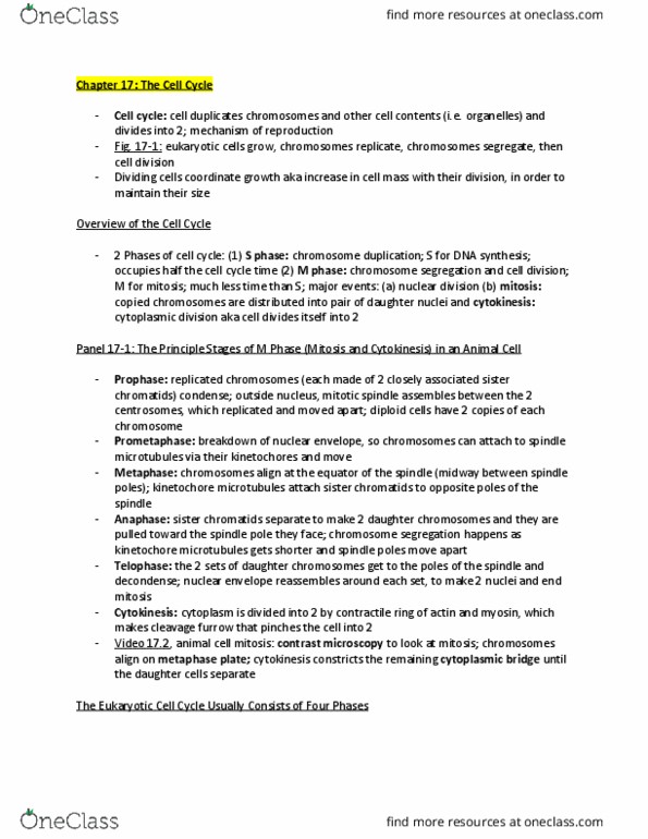 BCHM 2021 Lecture Notes - Lecture 1: Cdk Inhibitor, Sister Chromatids, Spindle Apparatus thumbnail