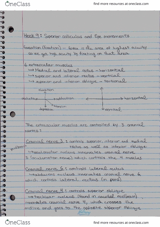 PSYCH 3J03 Lecture 9: Lecture 9 thumbnail