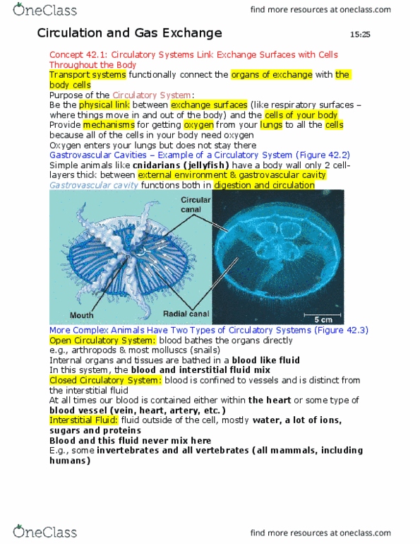 BIOL 1202 Lecture Notes - Lecture 2: Pulmonary Vein, Pulmonary Artery, Pulmonary Circulation thumbnail