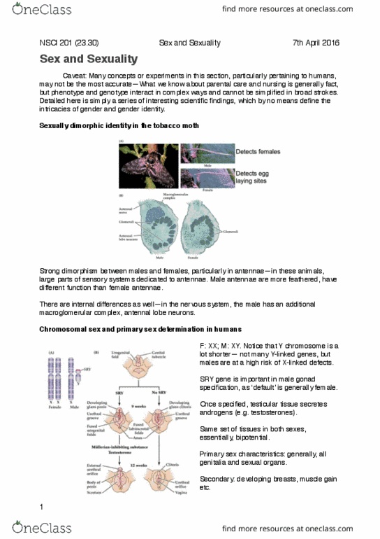 NSCI 201 Chapter Notes - Chapter 30: Sexually Dimorphic Nucleus, Sexual Dimorphism, Estrous Cycle thumbnail