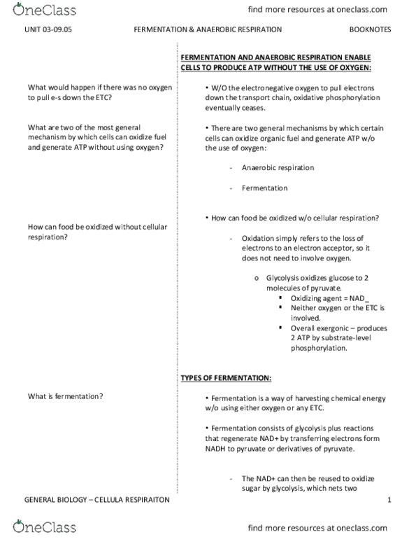 BIO SCI 93 Chapter Notes - Chapter 9.5: Anaerobic Respiration, Cellular Respiration, Oxidative Phosphorylation thumbnail