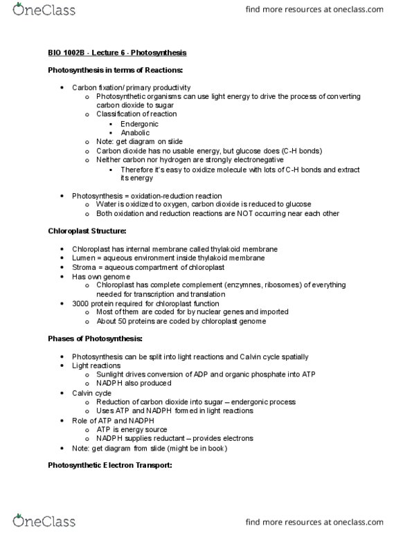 Biology 1002B Lecture Notes - Lecture 6: Atp Synthase, Light-Independent Reactions, Reduction Potential thumbnail