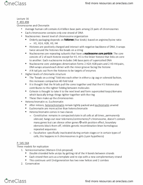 BSCI-1510 Lecture Notes - Lecture 16: Dna Gyrase, Heavy Strand, Heterochromatin thumbnail