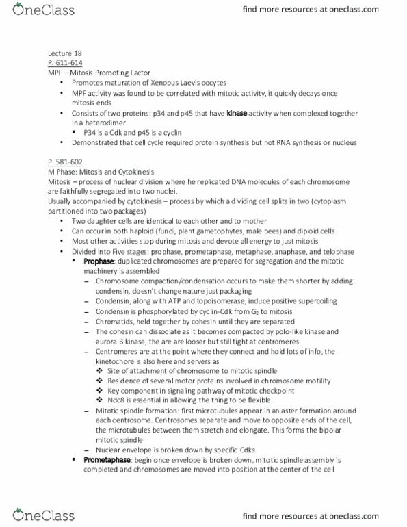 BSCI-1510 Lecture Notes - Lecture 18: Aurora B Kinase, African Clawed Frog, Condensin thumbnail