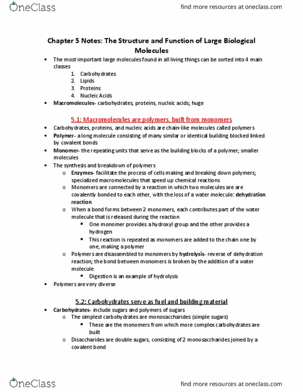 BIOL 2100 Lecture Notes - Lecture 5: Glycosidic Bond, Dehydration Reaction, Trans Fat thumbnail