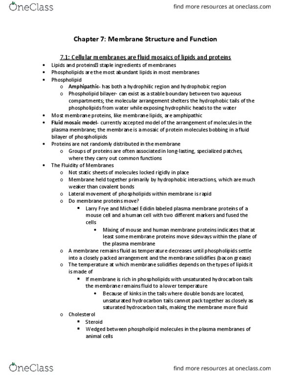 BIOL 2100 Lecture Notes - Lecture 7: Fluid Mosaic Model, Lipid Bilayer, Unsaturated Hydrocarbon thumbnail