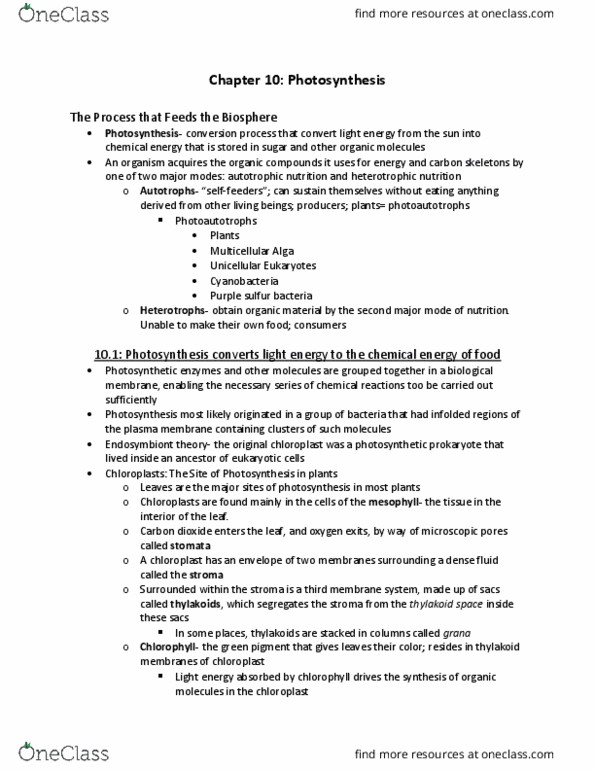 BIOL 2100 Lecture Notes - Lecture 10: Light-Harvesting Complex, Photosystem I, Accessory Pigment thumbnail