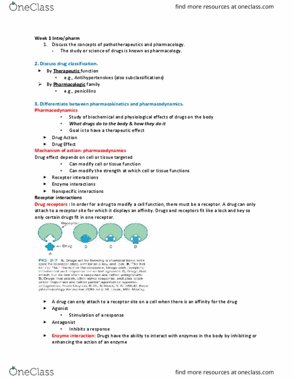PAT 20A/B Lecture Notes - Lecture 1: Diphenhydramine, Famotidine, Cetirizine thumbnail