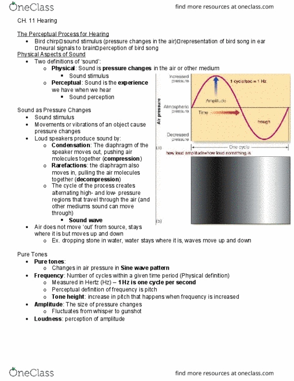 PSYCO367 Chapter Notes - Chapter 11: Wave, Acoustic Reflex, Sound Intensity thumbnail