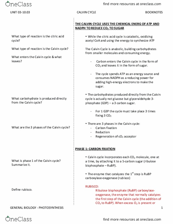 BIO SCI 93 Chapter Notes - Chapter 10.3: Plant Cell, Light-Independent Reactions, Carbon Fixation thumbnail