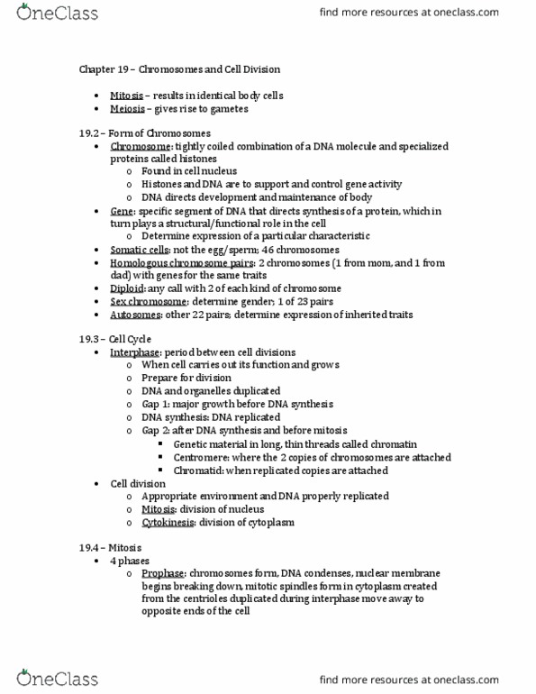 BISC106 Chapter Notes - Chapter 19: Mendelian Inheritance, Synapsis, Zygote thumbnail