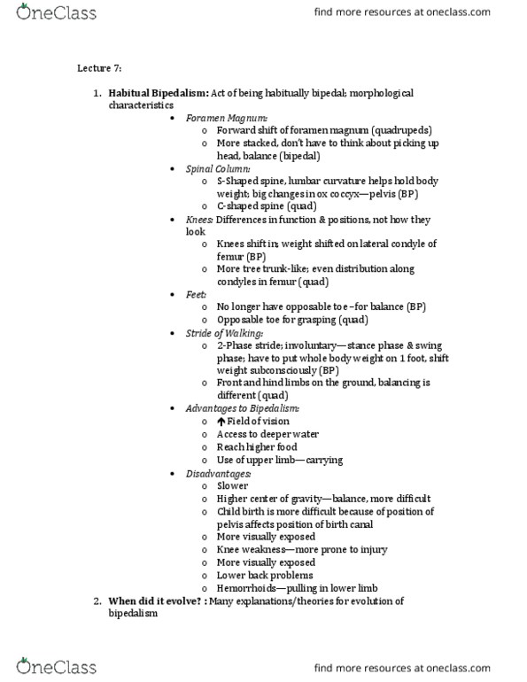 APY 345 Lecture Notes - Lecture 7: Medial Condyle Of Tibia, Articularis Genus Muscle, Femur Neck thumbnail