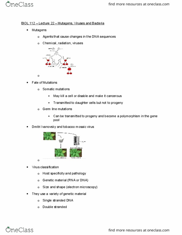 BIOL 112 Lecture Notes - Lecture 19: Chromosome, Lytic Cycle, Dmitri Ivanovsky thumbnail