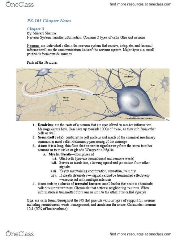 PS101 Chapter 3: Ps101 textbook notes-Ch 3 thumbnail