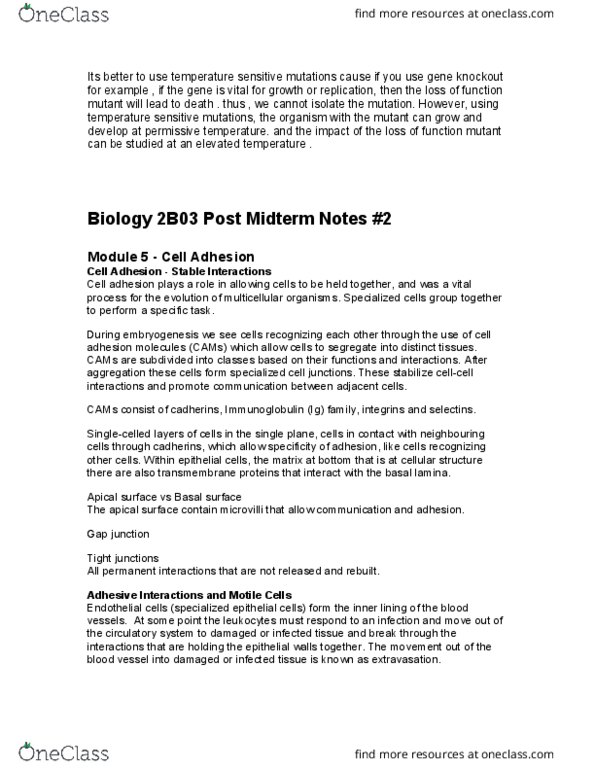 BIOLOGY 2B03 Lecture Notes - Lecture 3: Metastasis, Exosphere, Apoptosis thumbnail