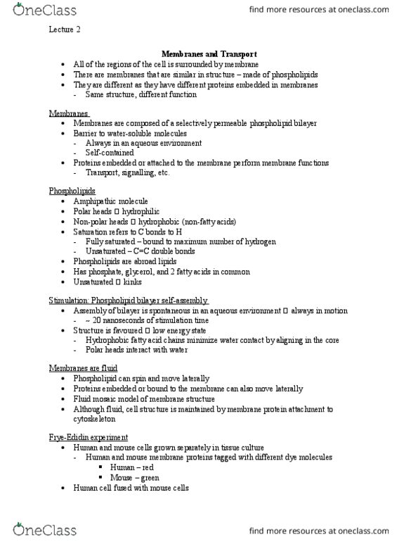 Biology 1202B Lecture Notes - Lecture 2: Conformational Change, Atp Hydrolysis, Membrane Potential thumbnail