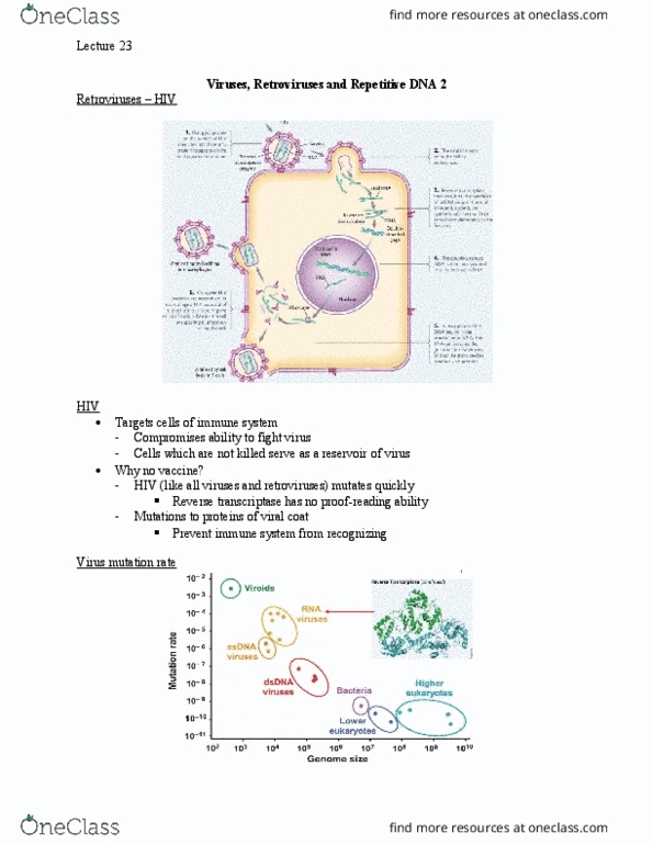 Biology 1202B Lecture Notes - Lecture 23: Eukaryote, Transposase, Retrotransposon thumbnail