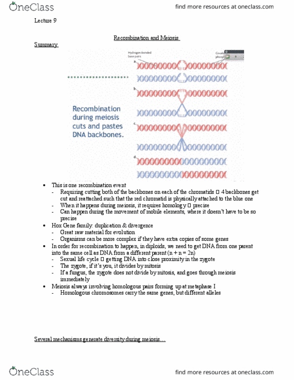 Biology 1001A Lecture Notes - Lecture 9: Color Blindness, Chromosomal Rearrangement, Nondisjunction thumbnail
