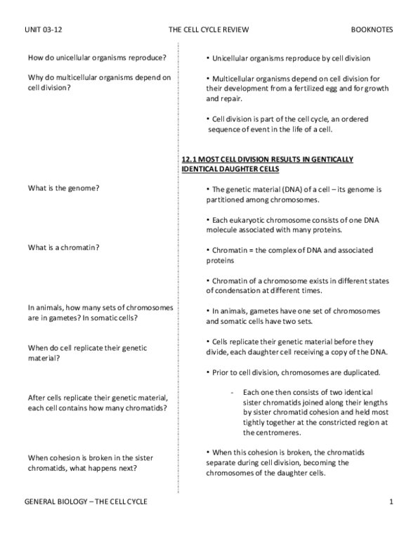 BIO SCI 93 Chapter Notes - Chapter 12: Hela, Vinblastine, Cytochalasin thumbnail