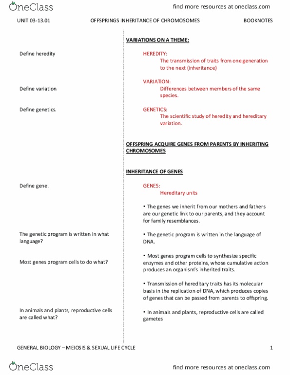 BIO SCI 93 Chapter Notes - Chapter 13.1: Horticulture, Mitosis, Genetic Variation thumbnail