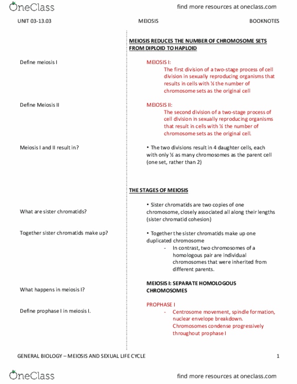 BIO SCI 93 Chapter Notes - Chapter 13.3: Synaptonemal Complex, Gamete, Fundamental Theorem Of Arithmetic thumbnail