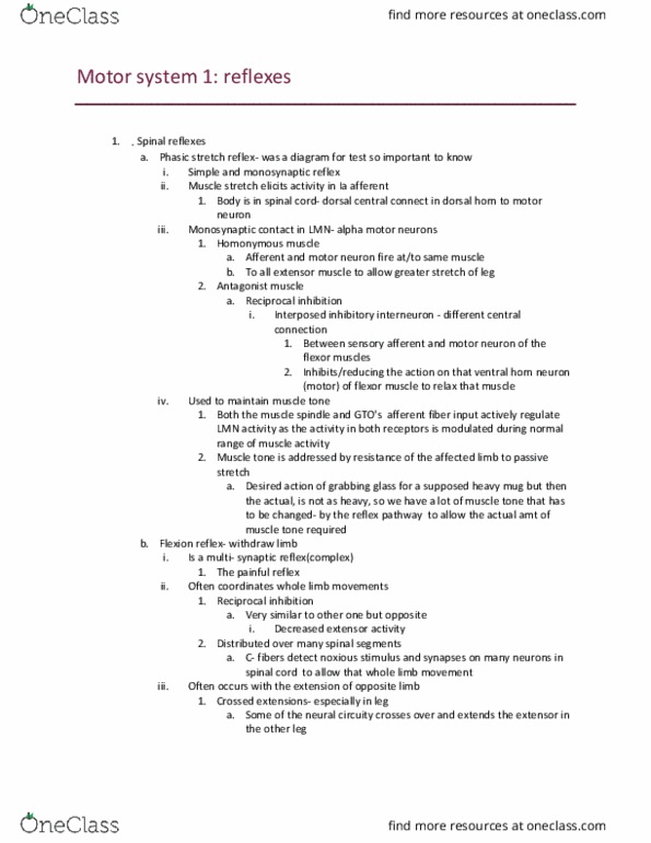 NSC 3319 Lecture 19: Motor system 1- day 2 thumbnail