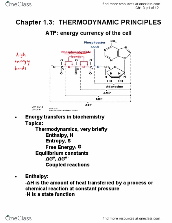 CHEM237 Lecture 3: CHEM237-3-Ch1-3-Thermodynamics-annot.PDF thumbnail