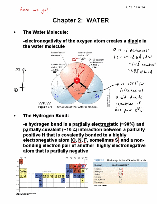 CHEM237 Lecture 2: CHEM237-2-Ch2-Water-annot thumbnail