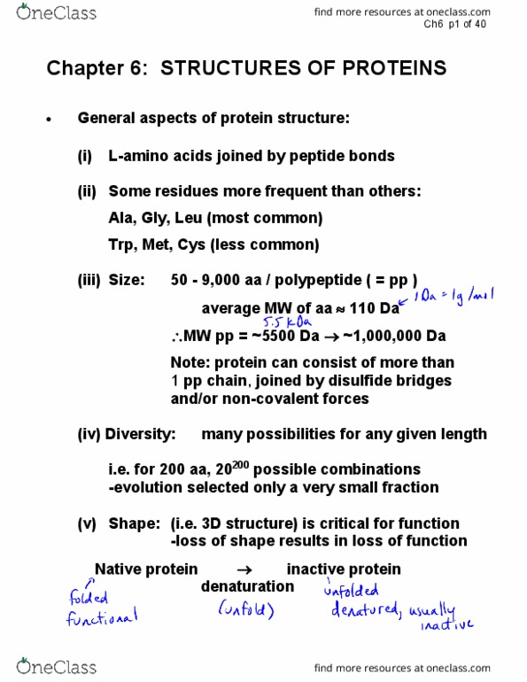 CHEM237 Lecture 6: CHEM237-6-Ch6-Proteins-annot.PDF thumbnail