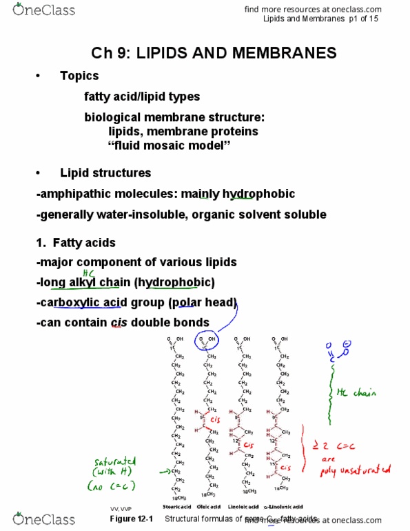 CHEM237 Lecture 9: CHEM237-13-Ch9-LipidsandMembranes-annot.PDF thumbnail