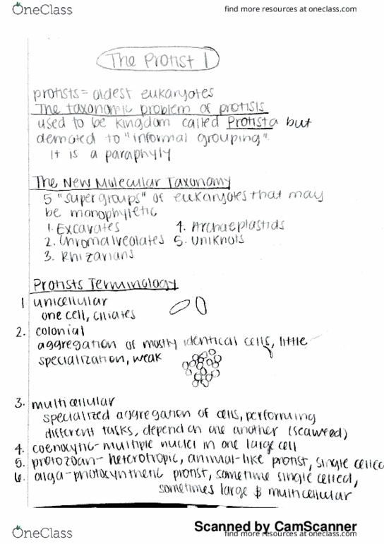 BIOL 1101 Lecture 44: The Protist I thumbnail