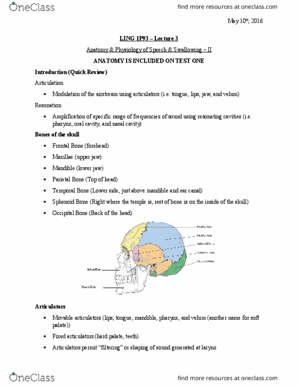 LING 1P93 Lecture Notes - Lecture 3: Intellectual Disability, Frontal Lobe, Brain Injury thumbnail