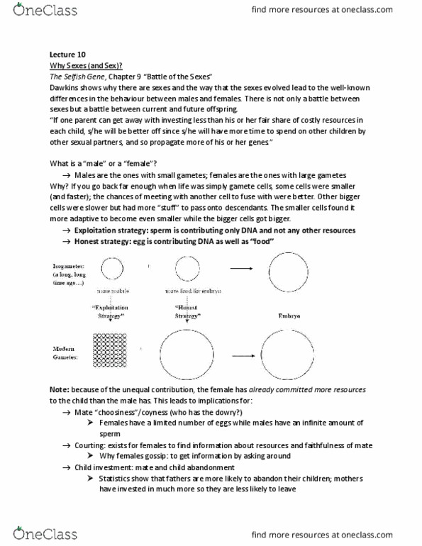 PSYC 317 Lecture Notes - Lecture 10: Long Hair, Sexy Son Hypothesis, Masculinity thumbnail