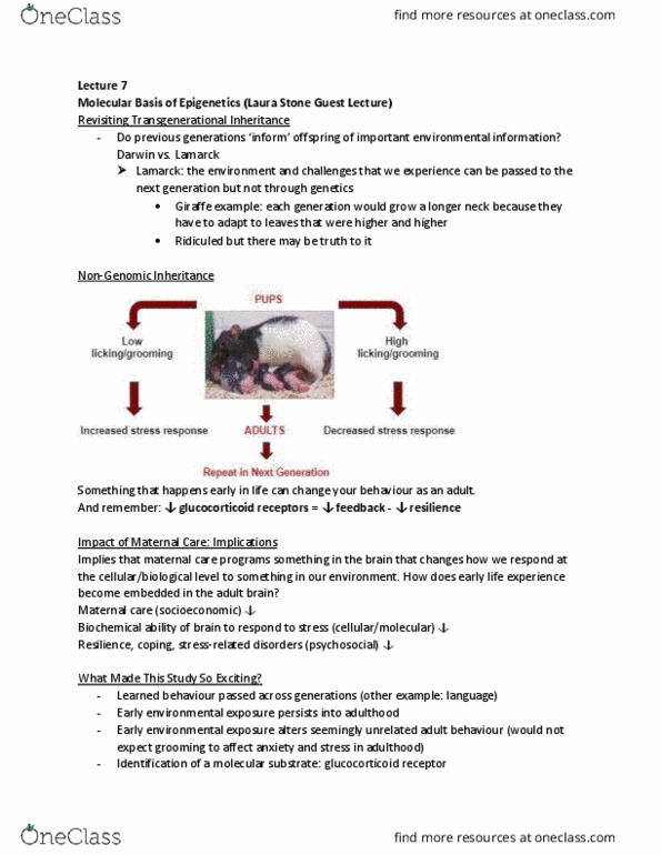 PSYC 317 Lecture Notes - Lecture 7: Behavioral Enrichment, Major Trauma, Rhesus Macaque thumbnail