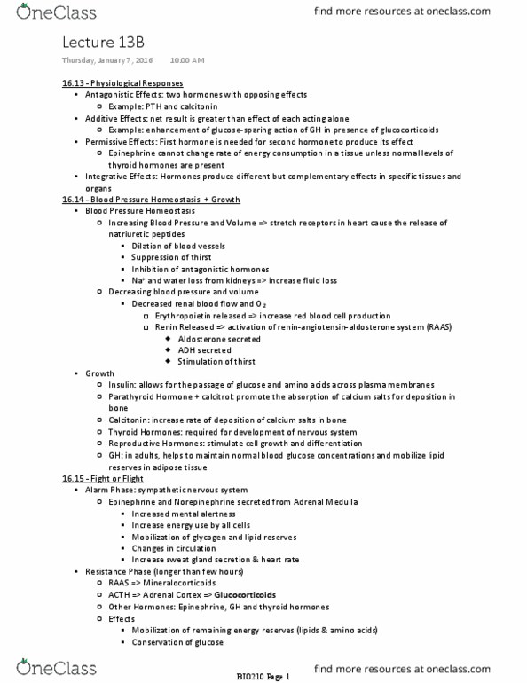 BIO210Y5 Lecture Notes - Lecture 13: Adrenocorticotropic Hormone, Adipose Tissue, Sweat Gland thumbnail