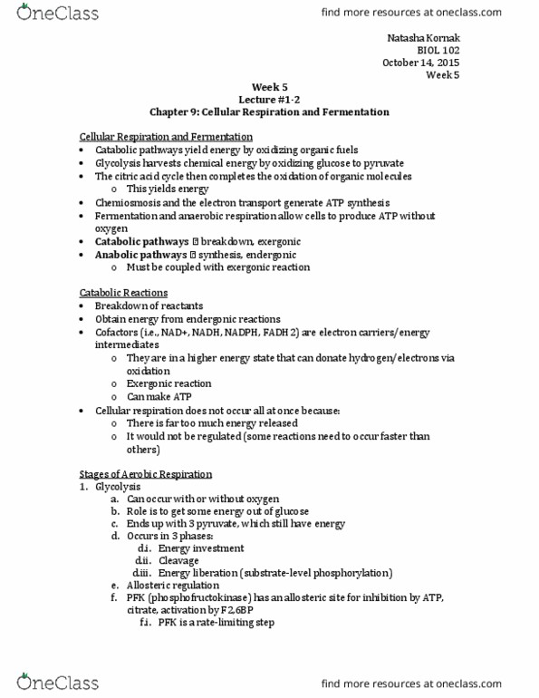 BIOL 102 Lecture Notes - Lecture 5: Caffeine, Atp Synthase, Metabolic Pathway thumbnail