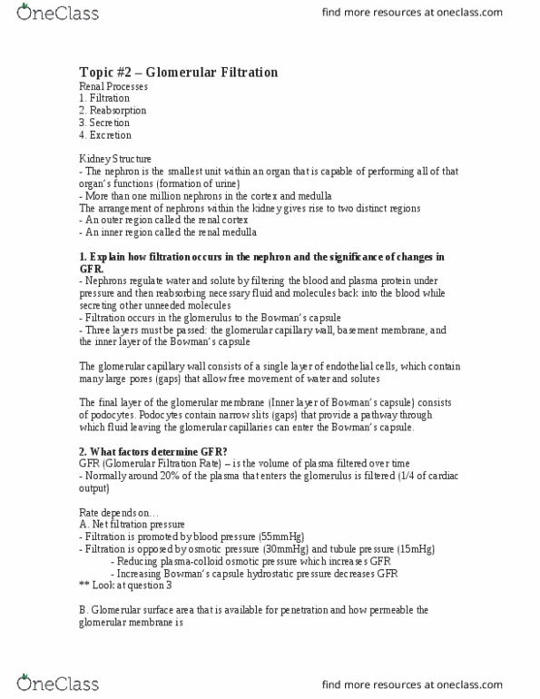 PHGY 214 Lecture Notes - Lecture 2: Blood Proteins, Angiotensin, Renal Cortex thumbnail