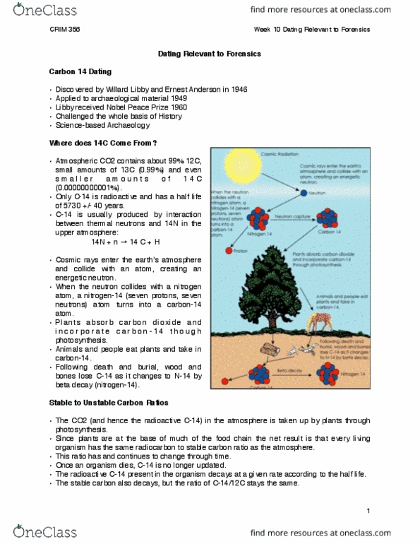 CRIM 356 Lecture Notes - Lecture 10: Willard Libby, Radiocarbon Dating, Shroud Of Turin thumbnail