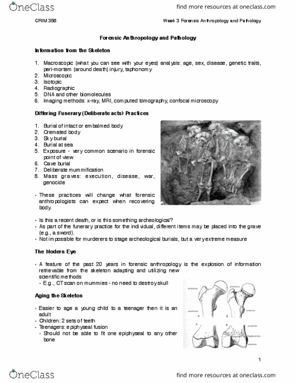 CRIM 356 Lecture Notes - Lecture 3: Epiphyseal Plate, Forensic Anthropology, Confocal Microscopy thumbnail
