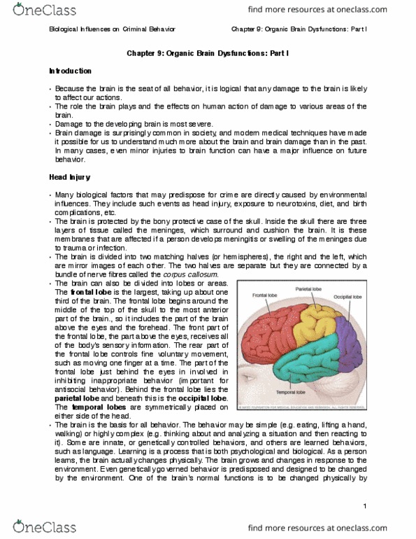 CRIM 402 Lecture Notes - Lecture 9: Concussion, Frontal Lobe, Head Injury thumbnail