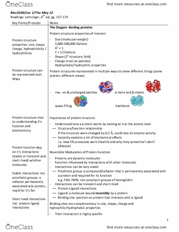 BIOC 3560 Lecture Notes - Lecture 1: Protein Structure, Porphyrin, Flavin Mononucleotide thumbnail