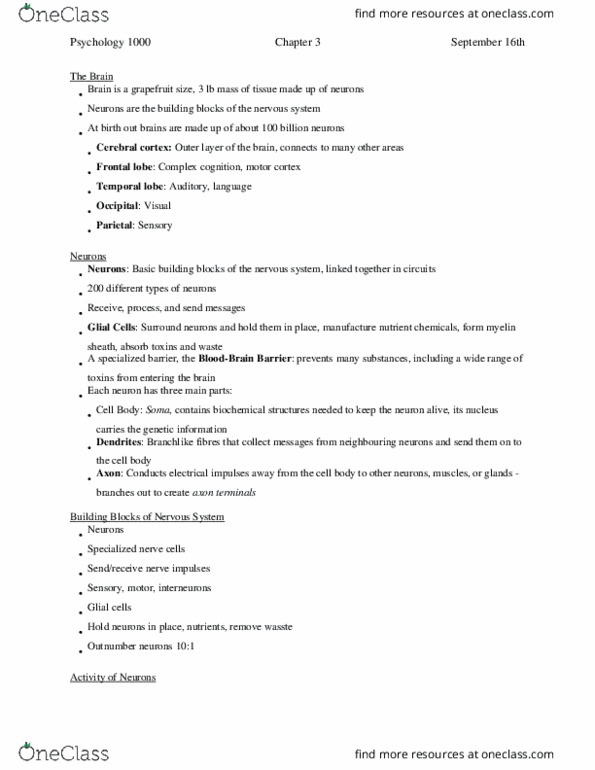 Psychology 1000 Chapter Notes - Chapter 3: Peripheral Nervous System, Axon Terminal, Action Potential thumbnail