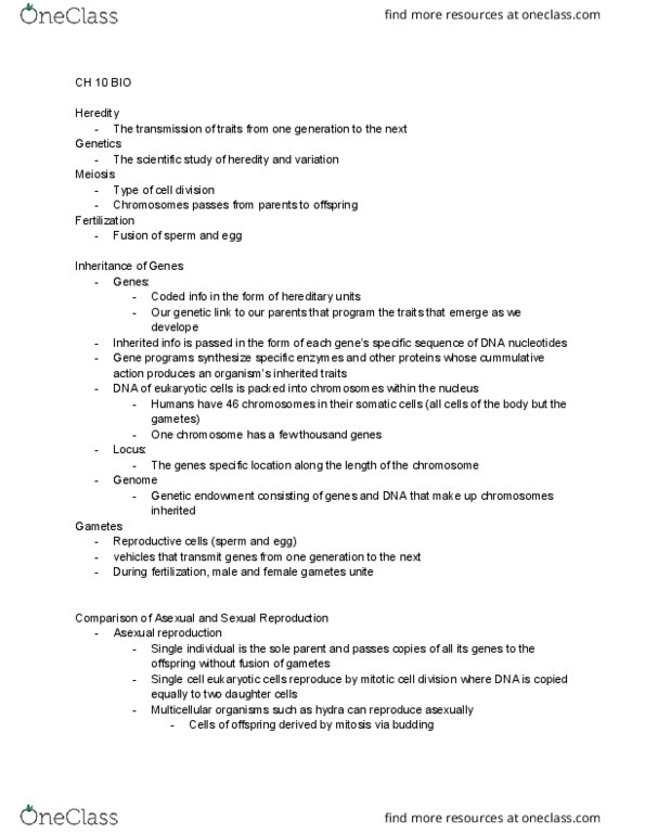 BIO 122 Lecture Notes - Lecture 10: Sister Chromatids, Somatic Cell, Gametogenesis thumbnail