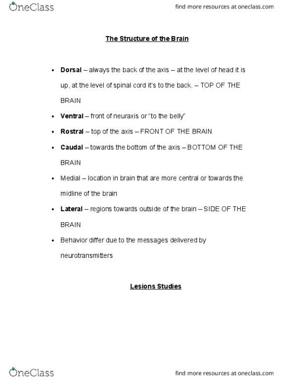 PSYCH 1XX3 Lecture Notes - Lecture 4: Montreal Procedure, Motor Cortex, Neuraxis thumbnail