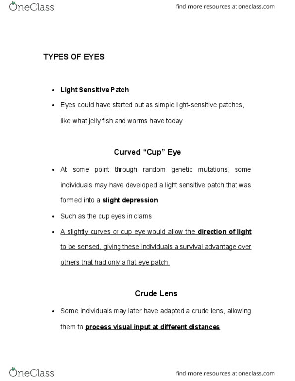 PSYCH 1XX3 Lecture Notes - Lecture 5: Visual Acuity, Jellyfish, These Eyes thumbnail