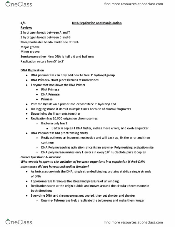 BIOLOGY 151 Lecture Notes - Lecture 29: Dna Polymerase, Okazaki Fragments, Dna Replication thumbnail